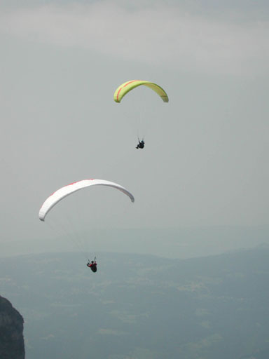 DSCN2081