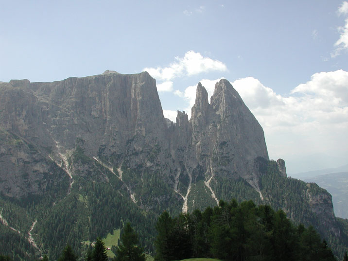 DSCN1917