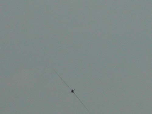DSCN1668