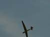 DSCN1629