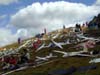 DSCN0192