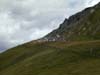 DSCN0204