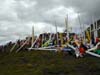 DSCN0254