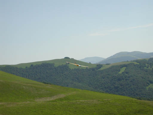 DSCN1699