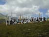 DSCN0107