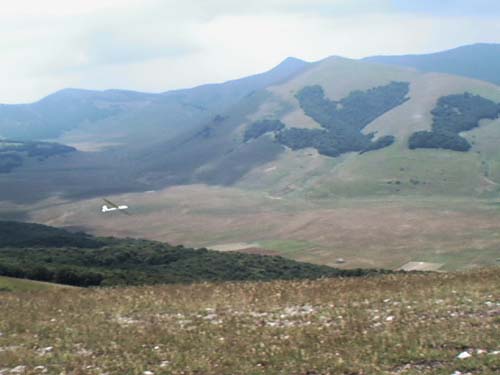 IMG00010