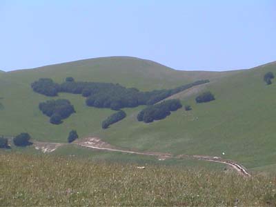 DSC01391