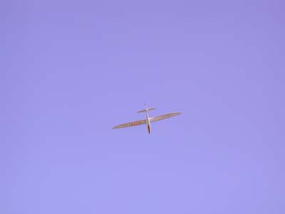 DSCN3442
