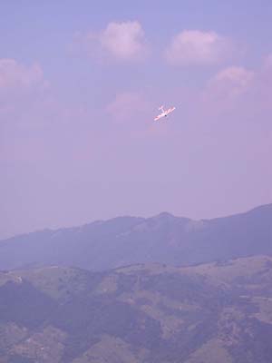 DSCN3446
