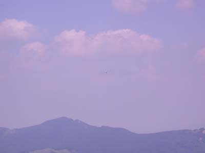 DSCN3447