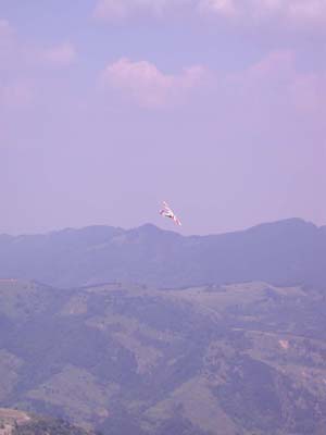 DSCN3449