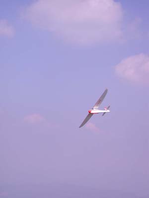 DSCN3450