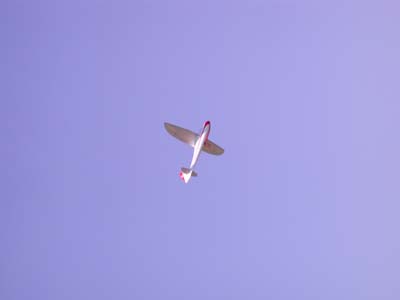 DSCN3459