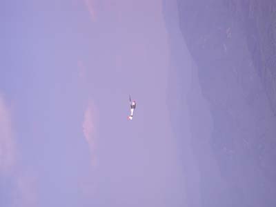 DSCN3460