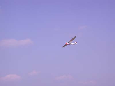 DSCN3461