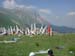 DSCN3405