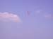DSCN3445